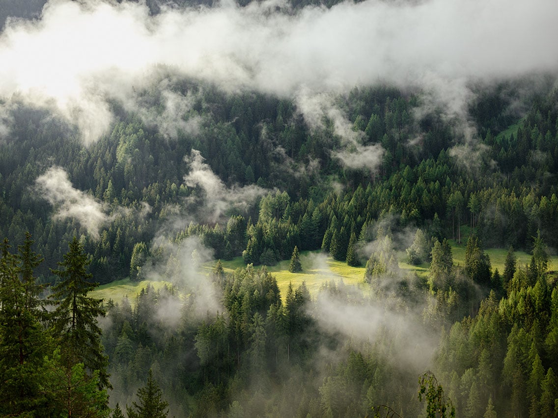 Porsgrund med EPD-sertifisert porselen