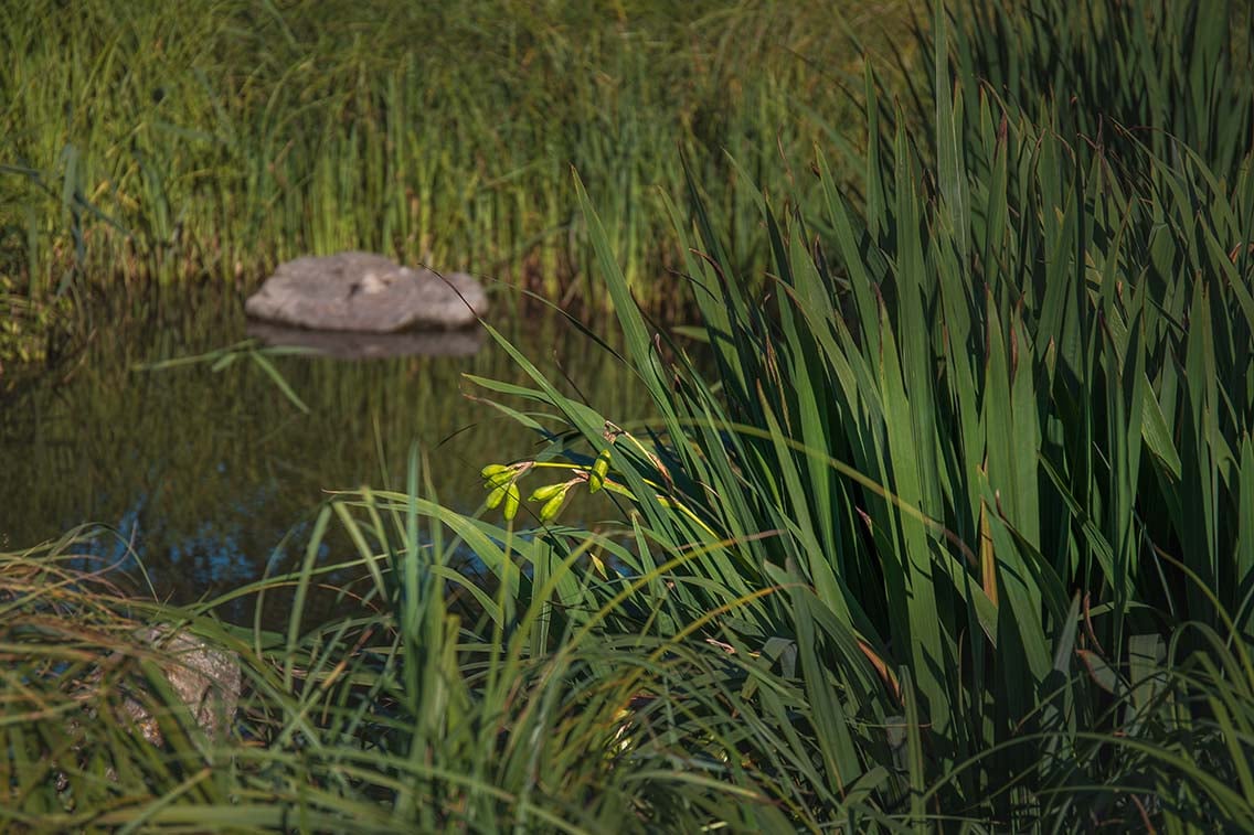 7 gode tips ved valg av åpen fordrøyning